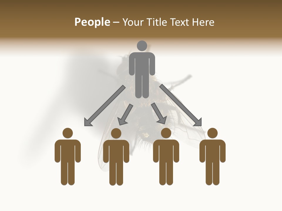 White Pest House PowerPoint Template