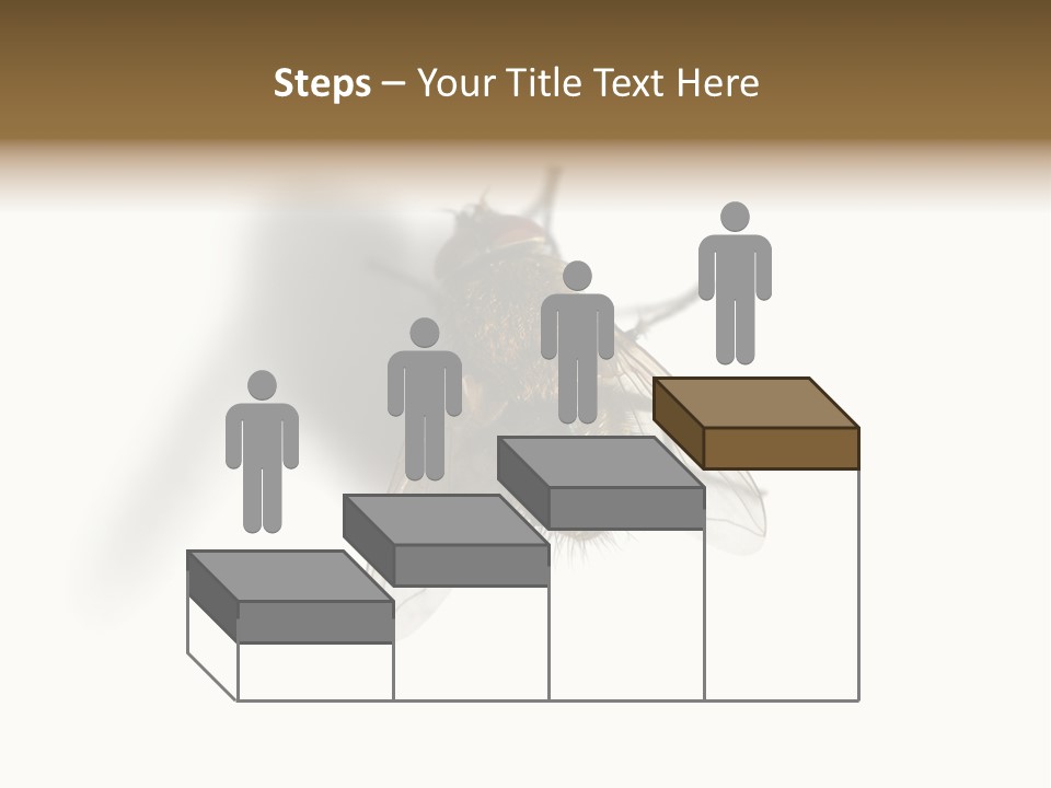 White Pest House PowerPoint Template