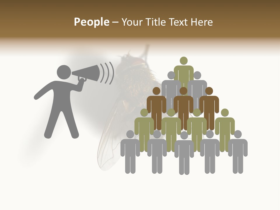 White Pest House PowerPoint Template