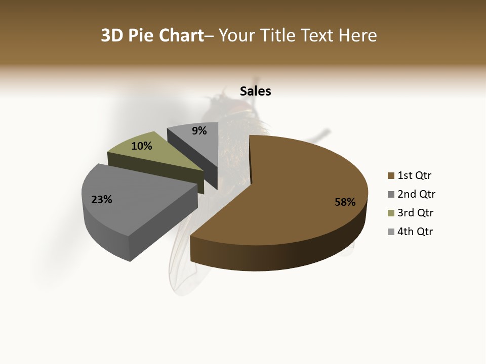 White Pest House PowerPoint Template