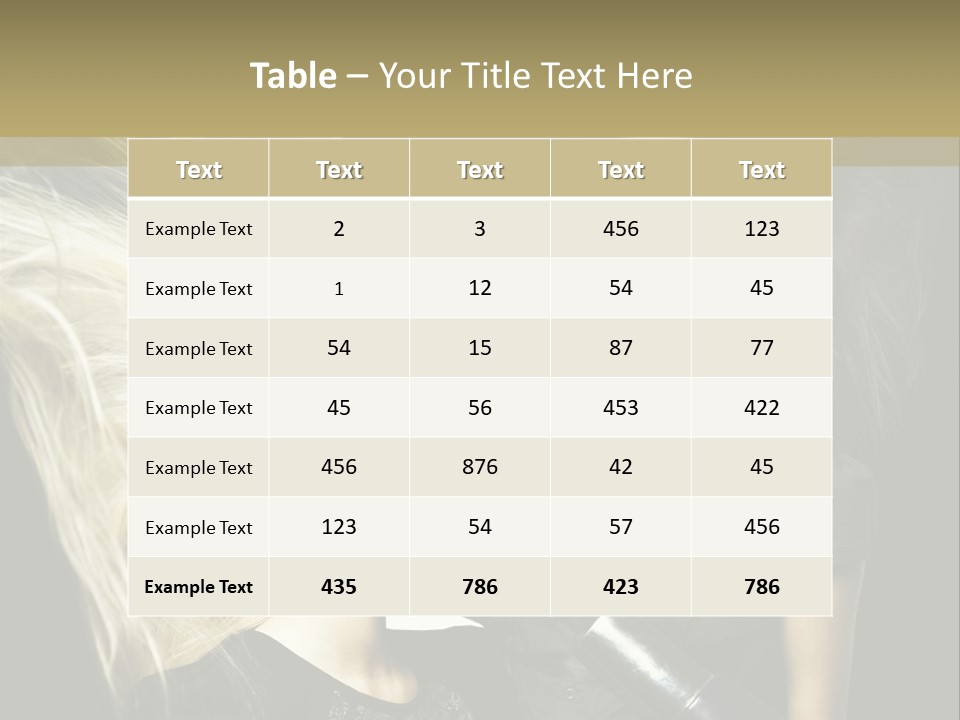 Color Stylist Equipment PowerPoint Template