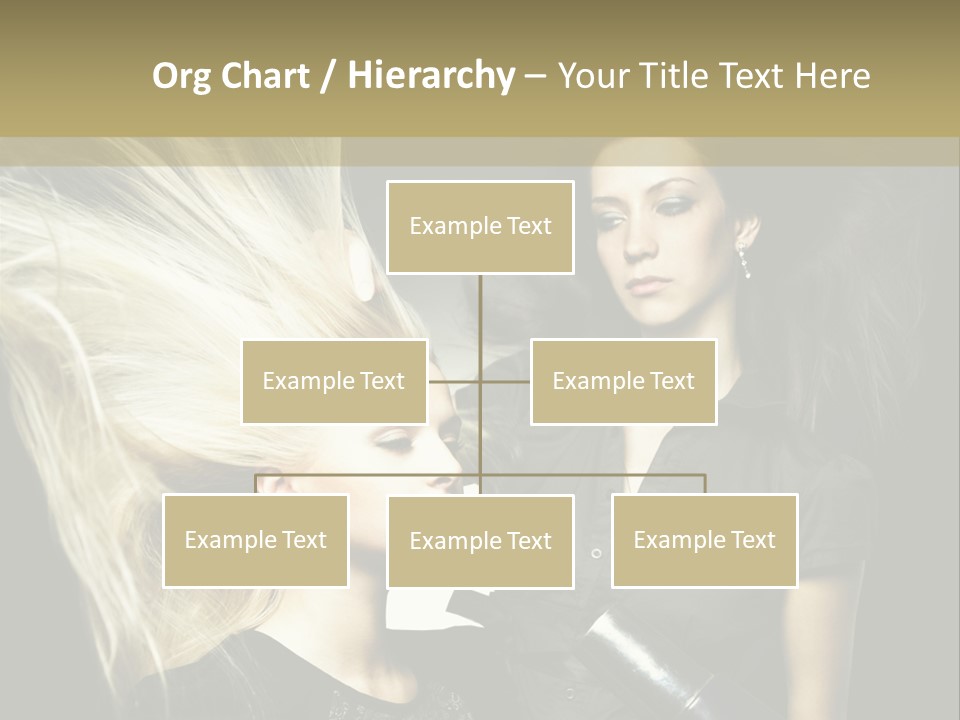Color Stylist Equipment PowerPoint Template