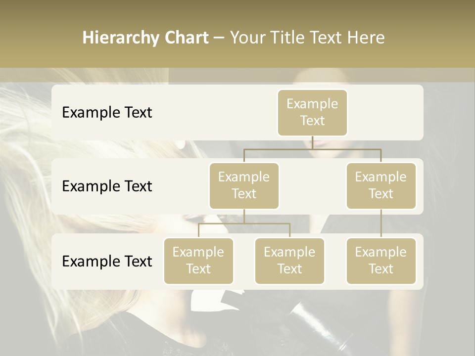 Color Stylist Equipment PowerPoint Template