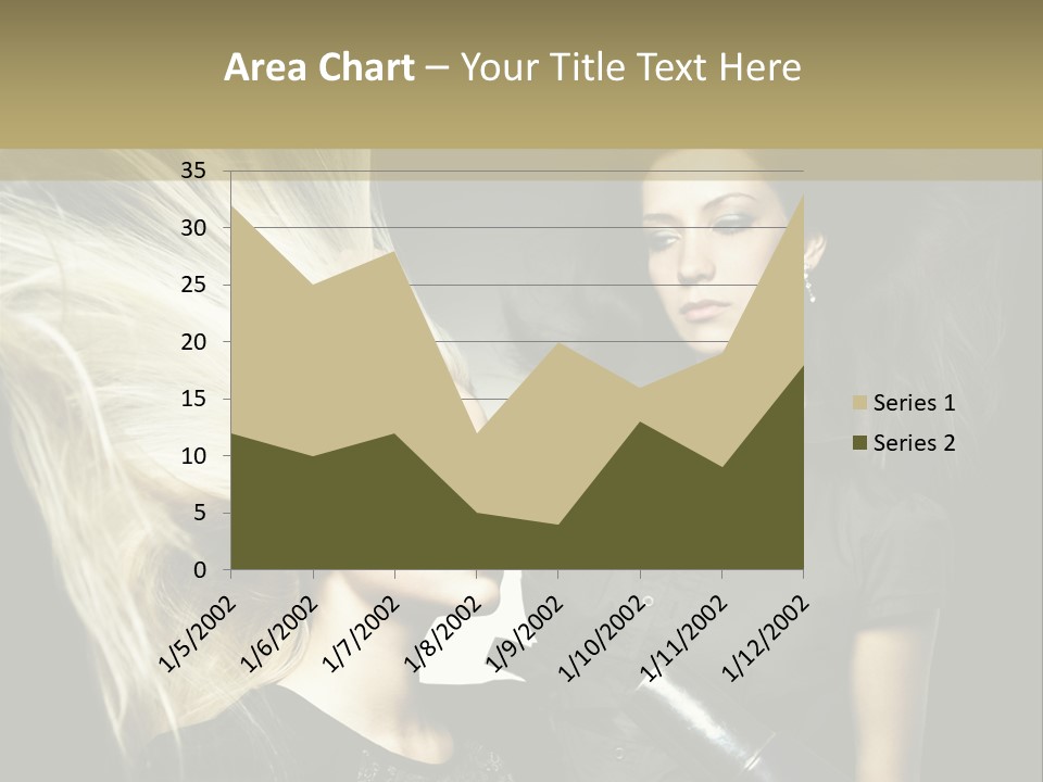 Color Stylist Equipment PowerPoint Template