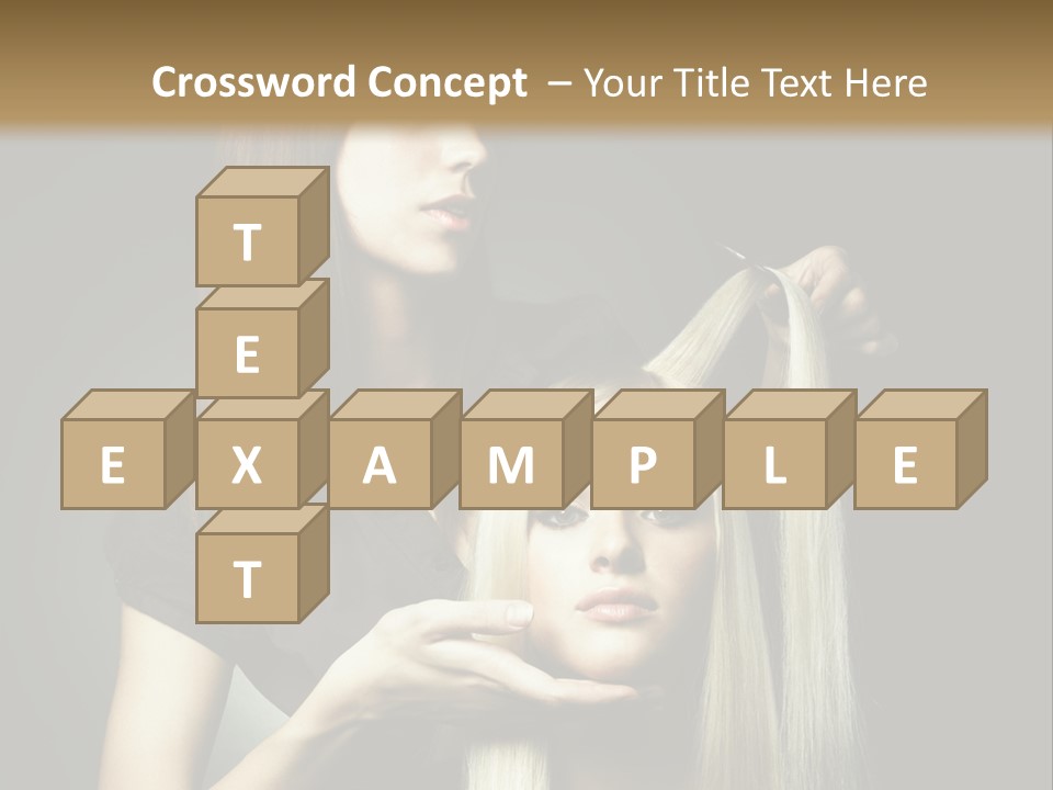 Elegance Professional Head PowerPoint Template