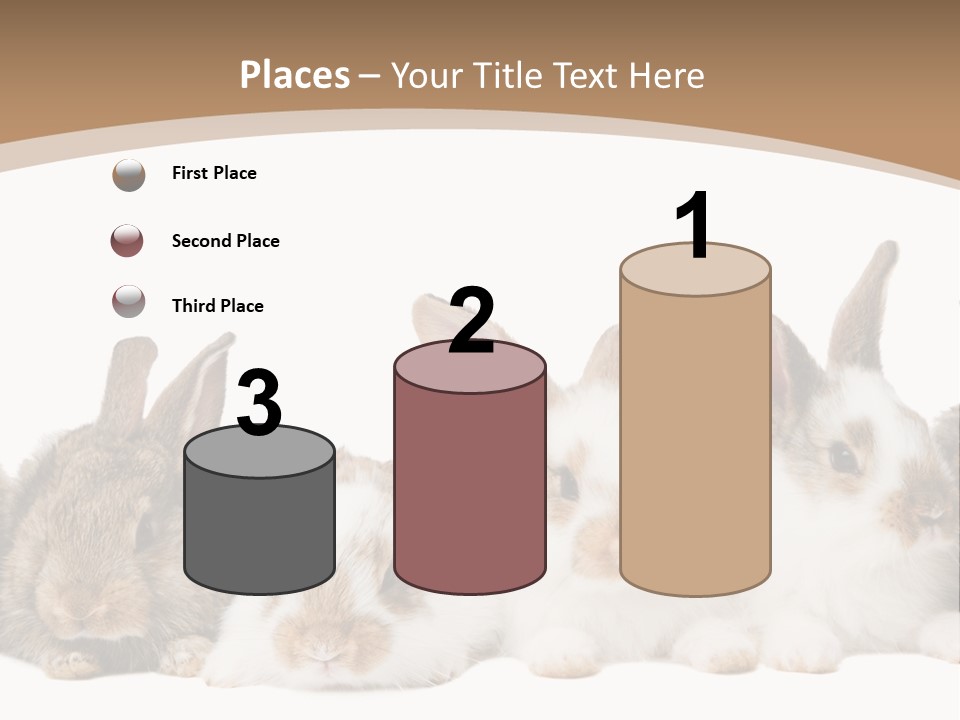 Hare Little Mammal PowerPoint Template