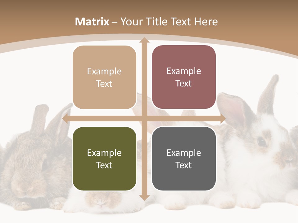 Hare Little Mammal PowerPoint Template
