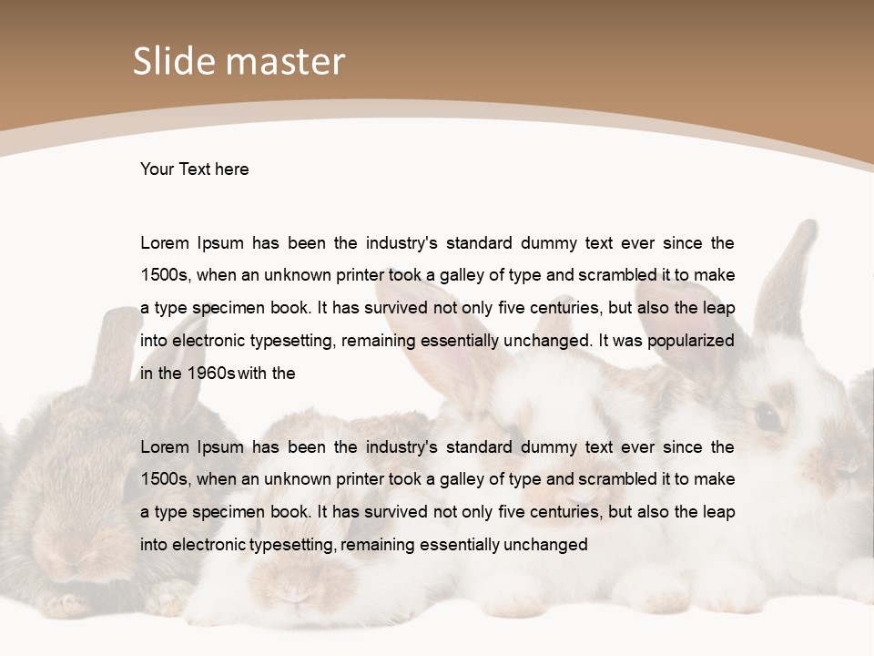 Hare Little Mammal PowerPoint Template