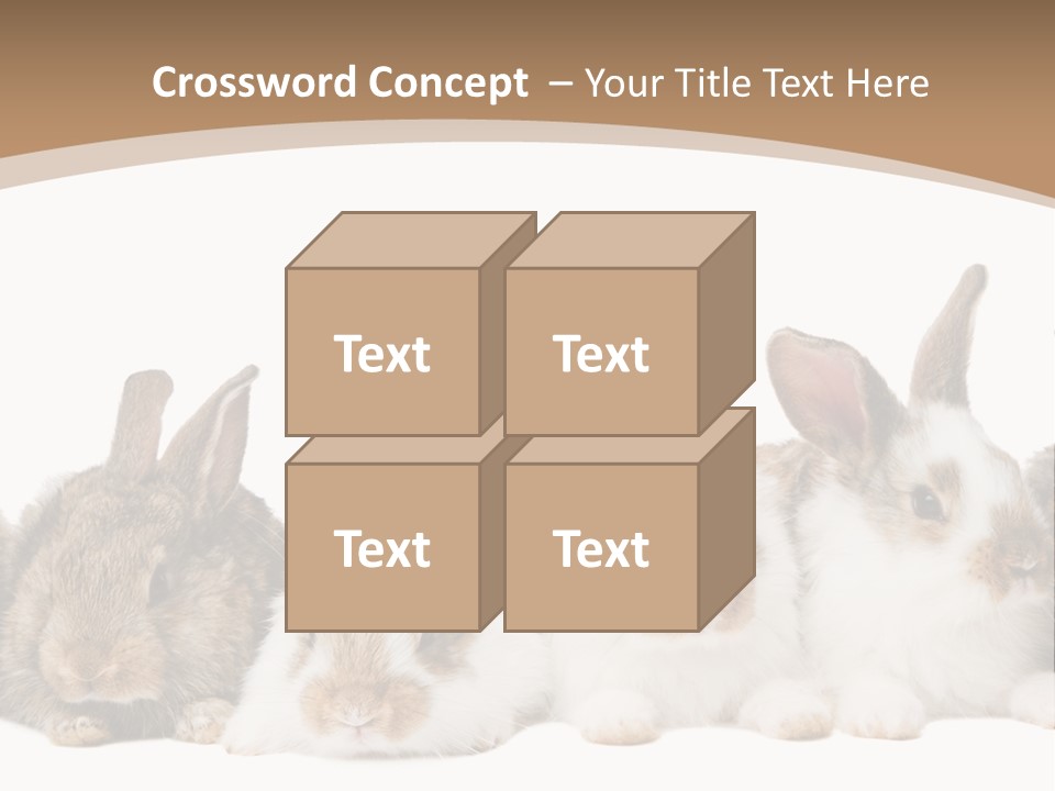 Hare Little Mammal PowerPoint Template