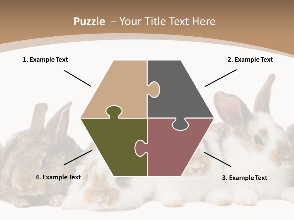 Hare Little Mammal PowerPoint Template