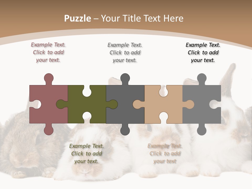 Hare Little Mammal PowerPoint Template