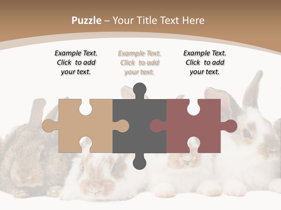 Hare Little Mammal PowerPoint Template
