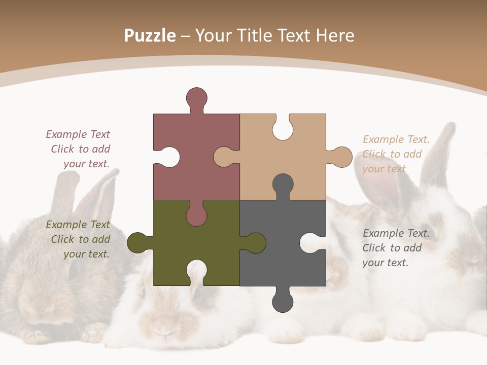 Hare Little Mammal PowerPoint Template