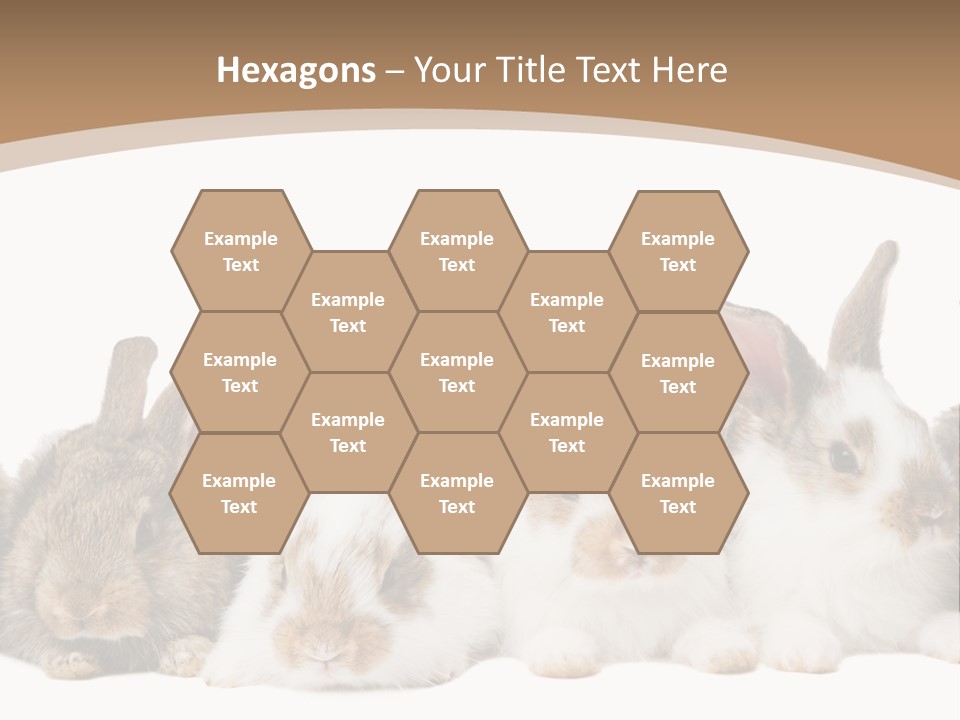 Hare Little Mammal PowerPoint Template