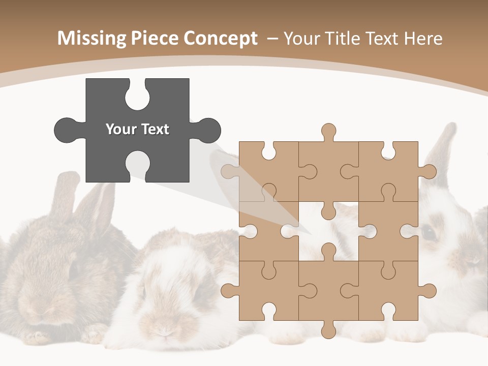 Hare Little Mammal PowerPoint Template