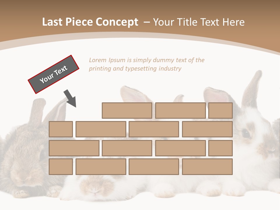 Hare Little Mammal PowerPoint Template