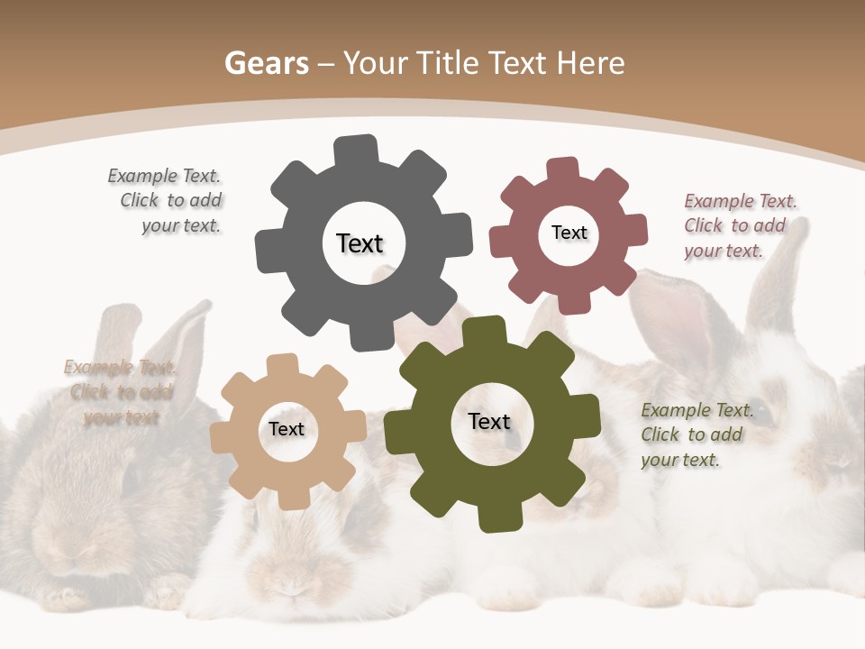 Hare Little Mammal PowerPoint Template