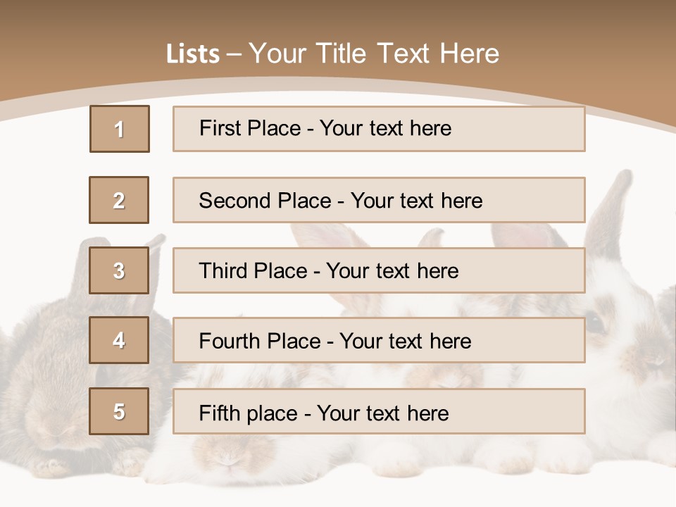 Hare Little Mammal PowerPoint Template
