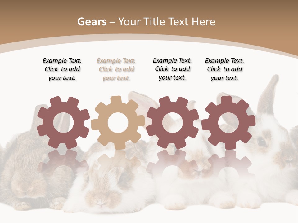 Hare Little Mammal PowerPoint Template