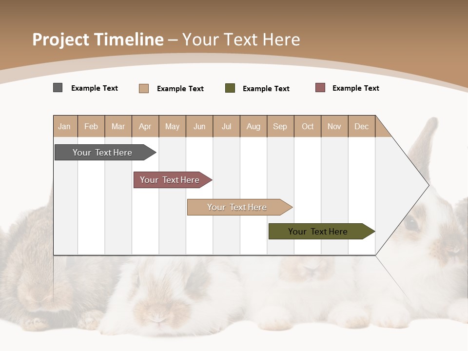 Hare Little Mammal PowerPoint Template