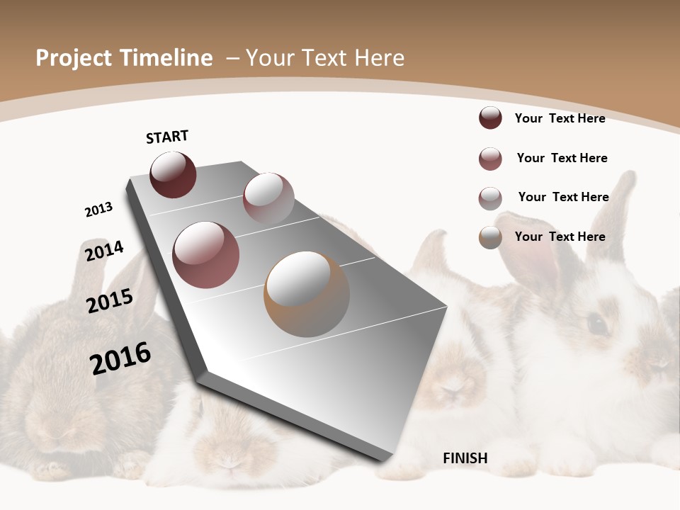 Hare Little Mammal PowerPoint Template