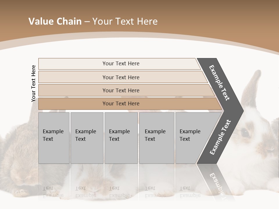 Hare Little Mammal PowerPoint Template