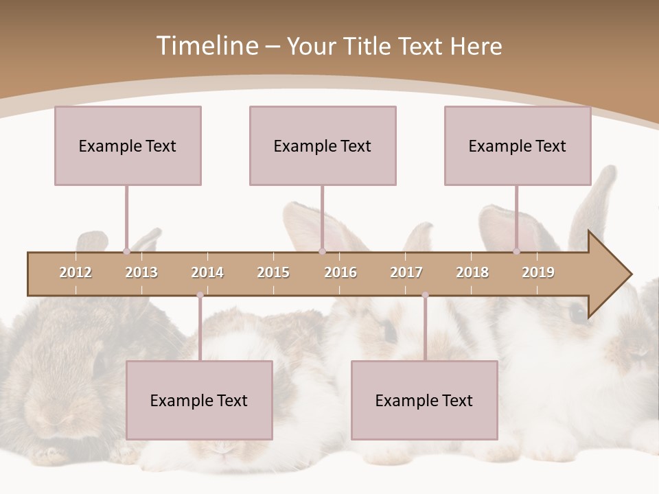 Hare Little Mammal PowerPoint Template