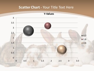 Hare Little Mammal PowerPoint Template