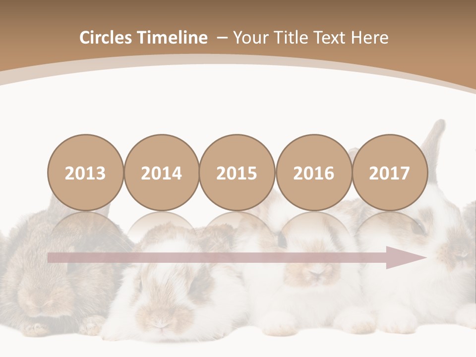 Hare Little Mammal PowerPoint Template