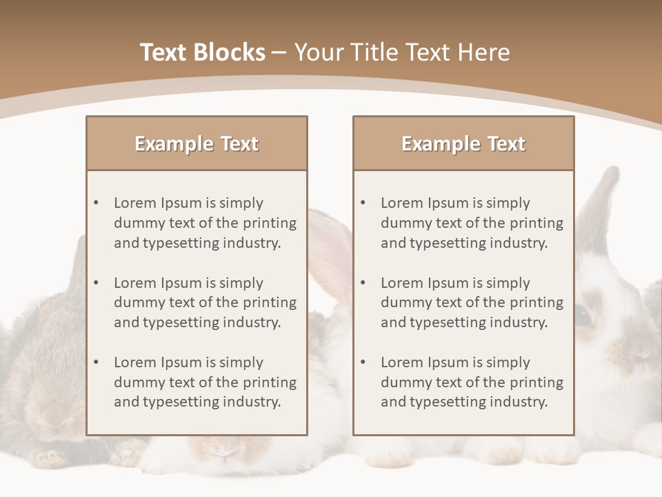Hare Little Mammal PowerPoint Template