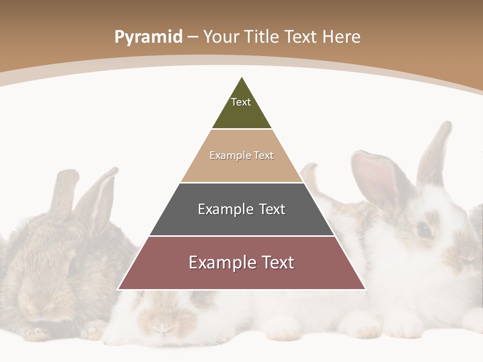 Hare Little Mammal PowerPoint Template