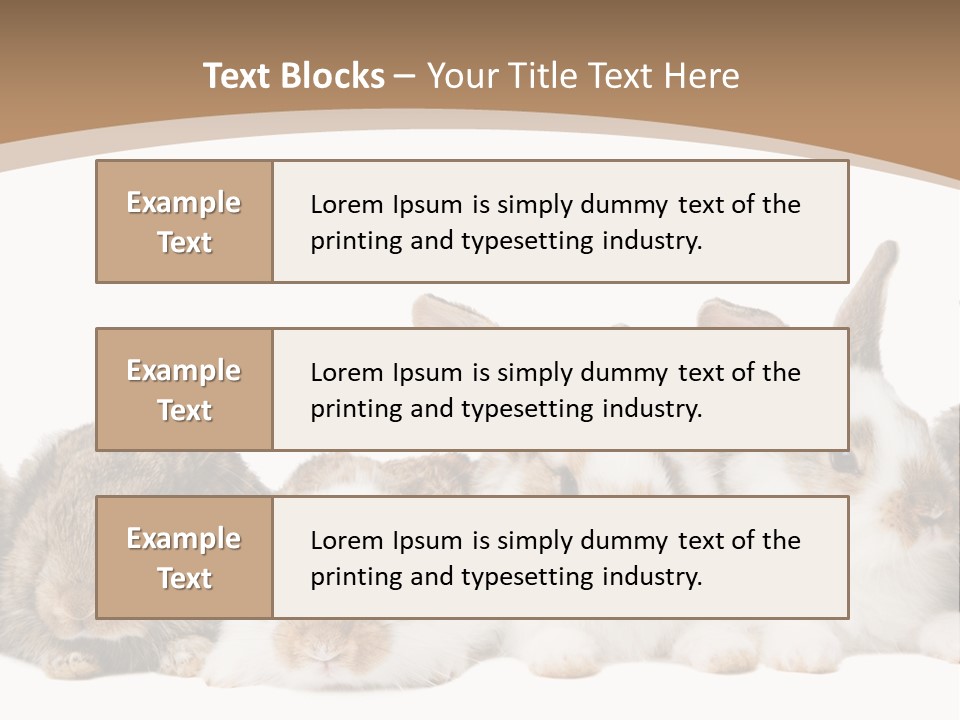 Hare Little Mammal PowerPoint Template