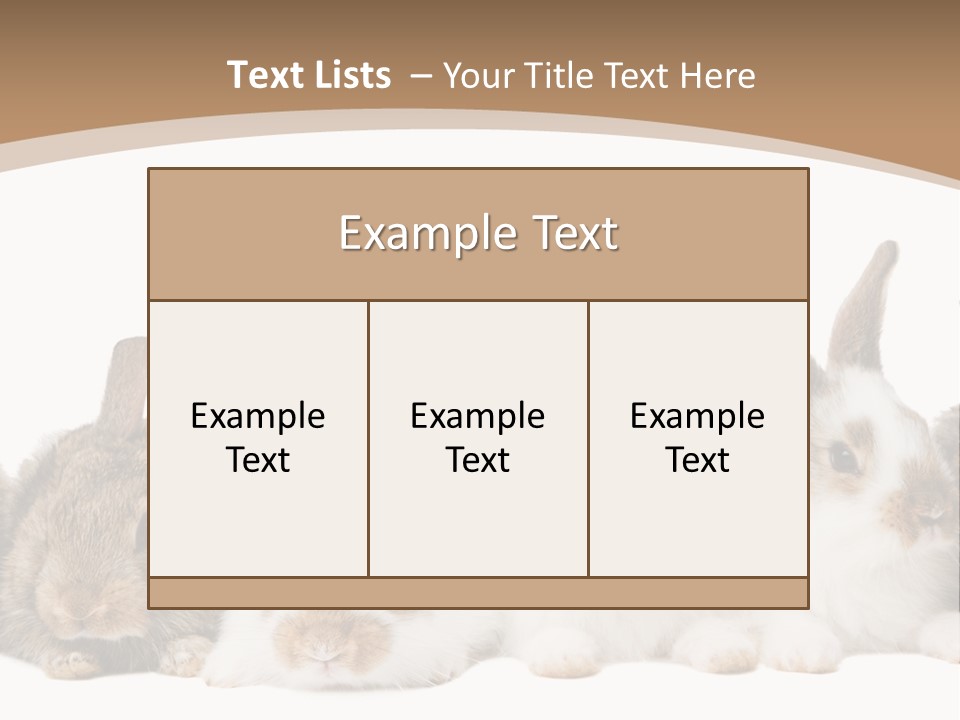 Hare Little Mammal PowerPoint Template