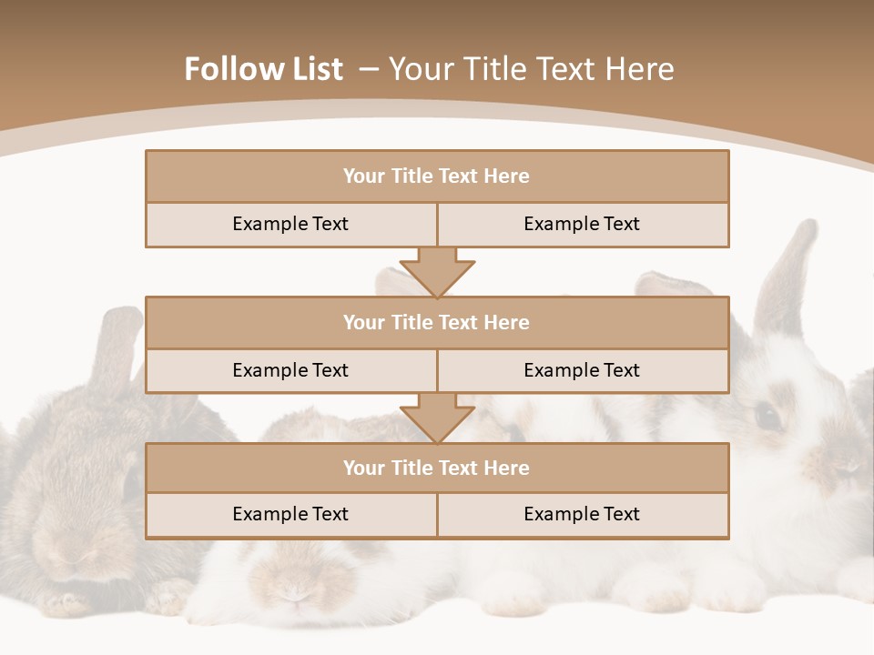 Hare Little Mammal PowerPoint Template