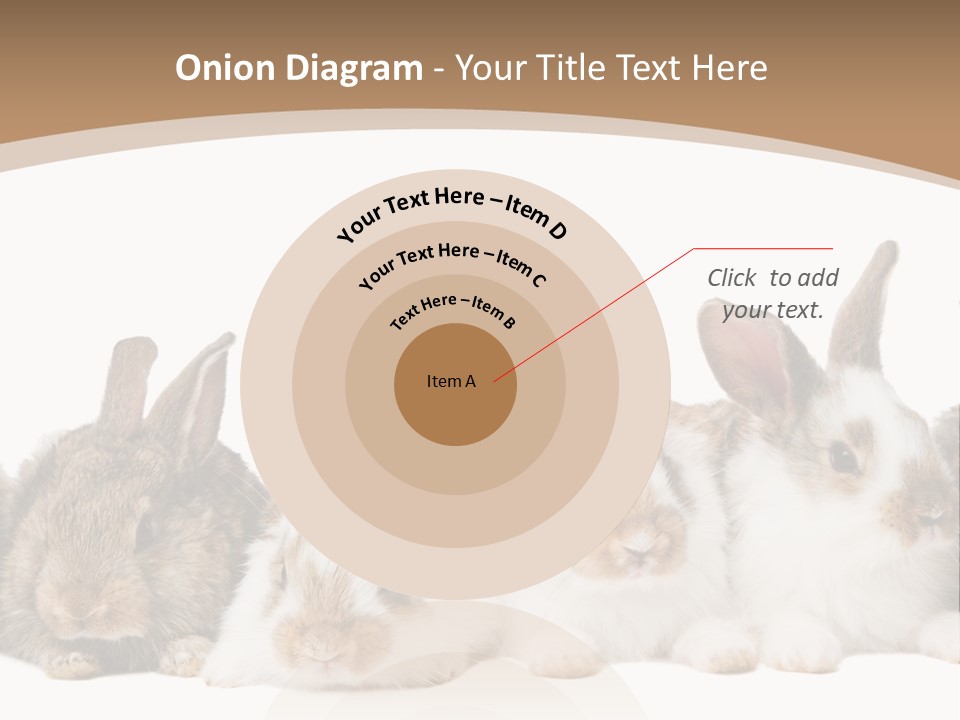 Hare Little Mammal PowerPoint Template