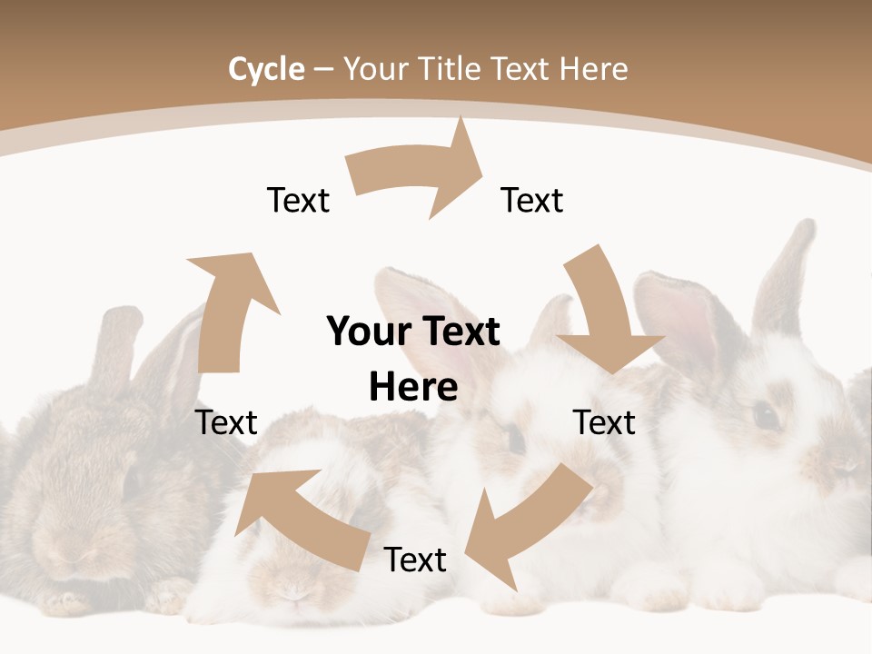Hare Little Mammal PowerPoint Template