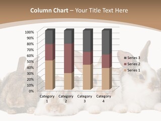 Hare Little Mammal PowerPoint Template