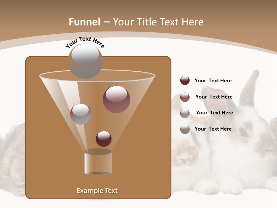 Hare Little Mammal PowerPoint Template