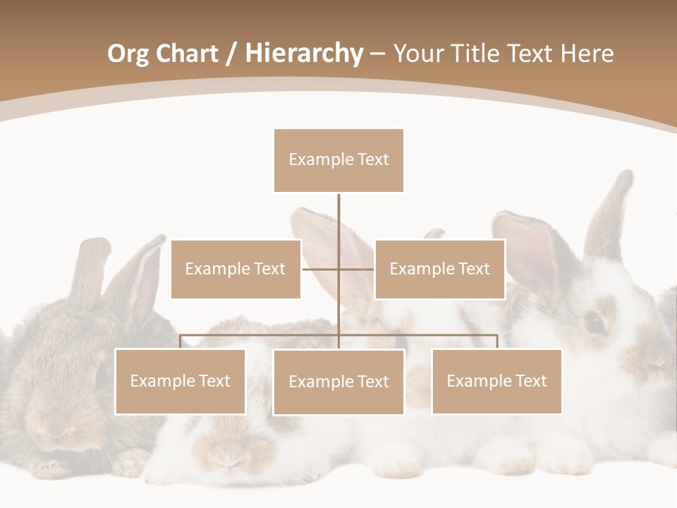 Hare Little Mammal PowerPoint Template
