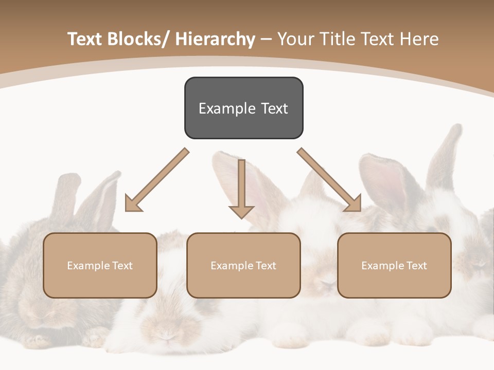 Hare Little Mammal PowerPoint Template