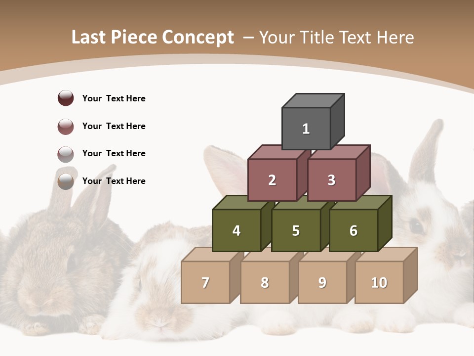 Hare Little Mammal PowerPoint Template