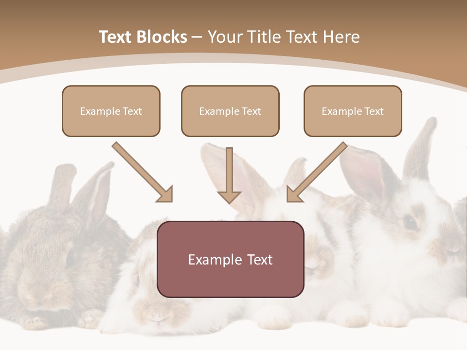 Hare Little Mammal PowerPoint Template