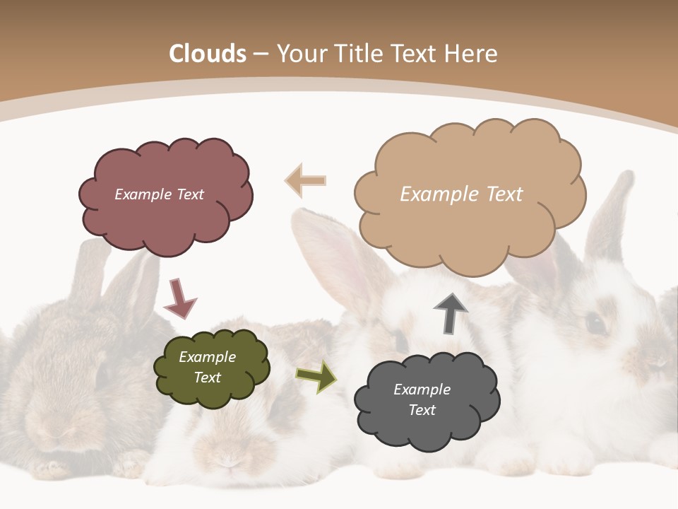 Hare Little Mammal PowerPoint Template
