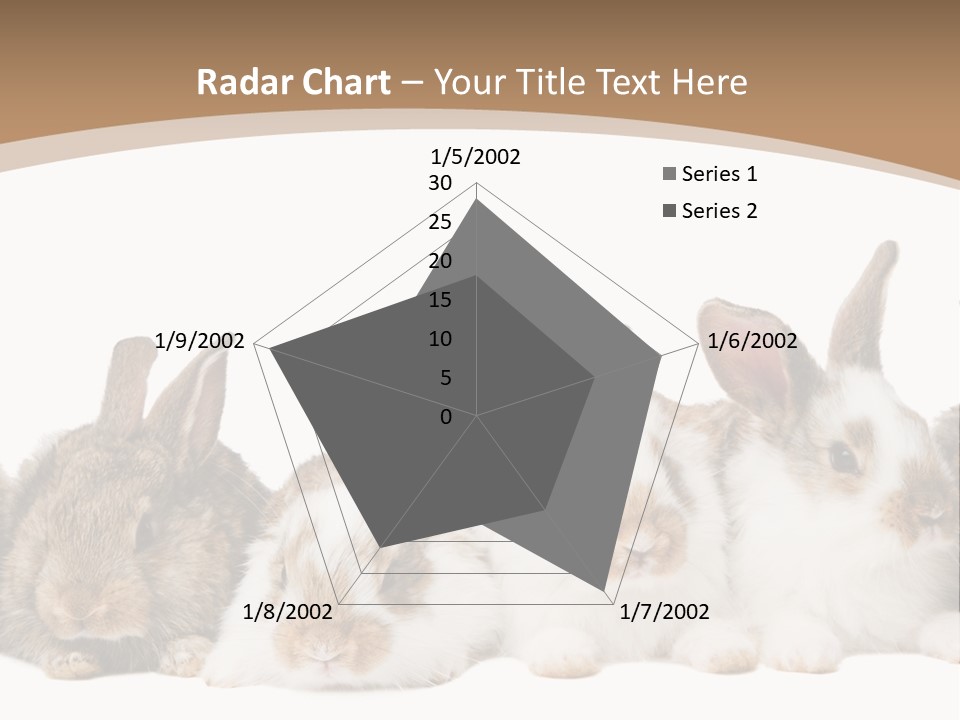 Hare Little Mammal PowerPoint Template