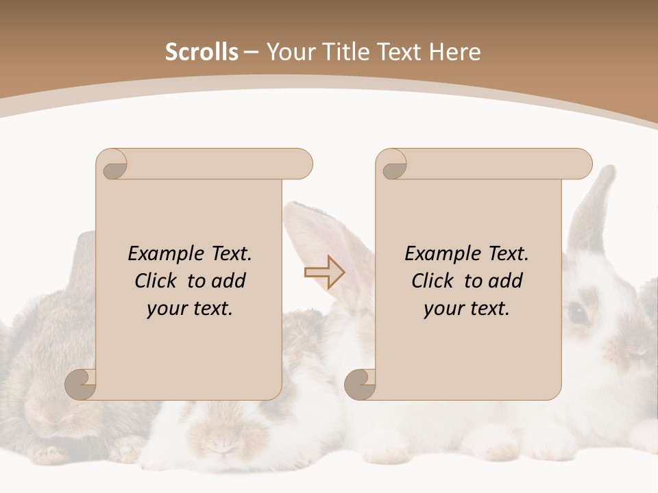 Hare Little Mammal PowerPoint Template