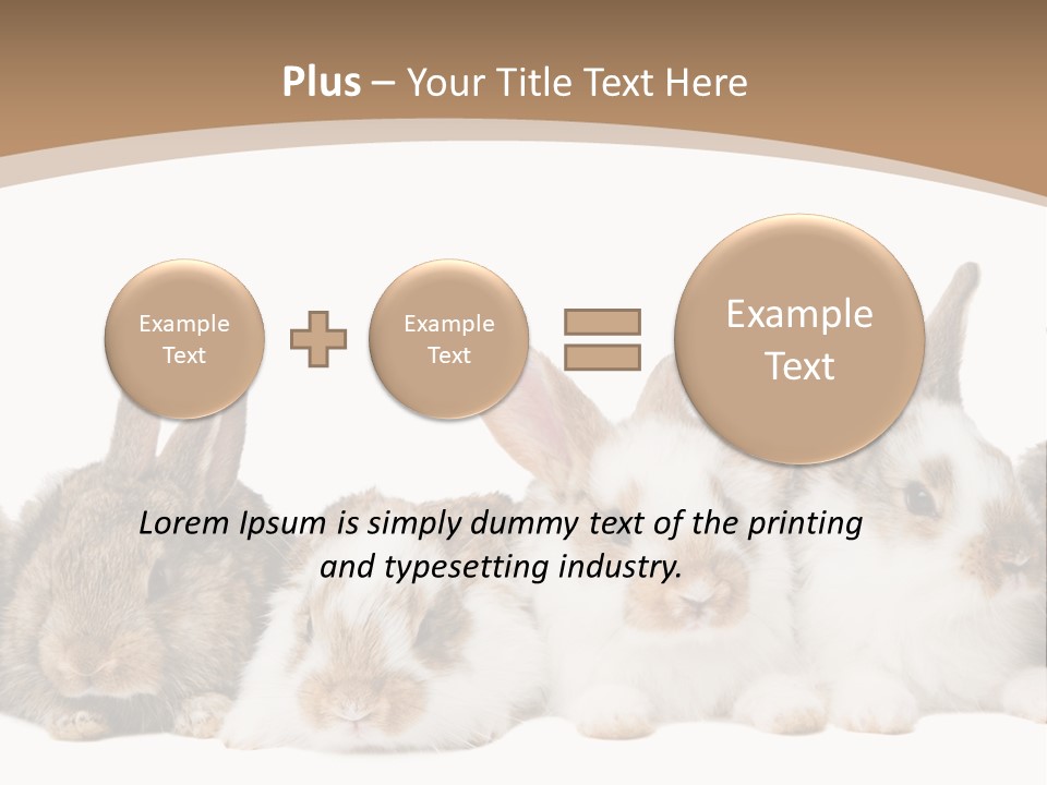 Hare Little Mammal PowerPoint Template