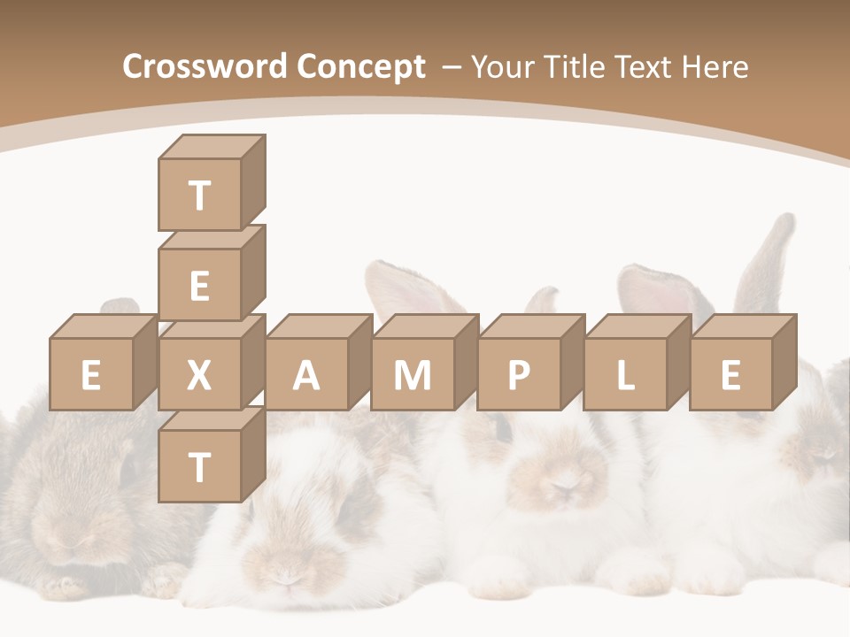 Hare Little Mammal PowerPoint Template