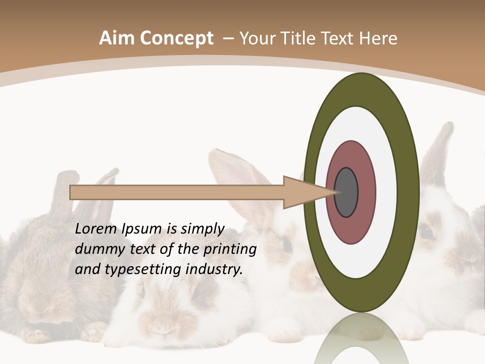 Hare Little Mammal PowerPoint Template