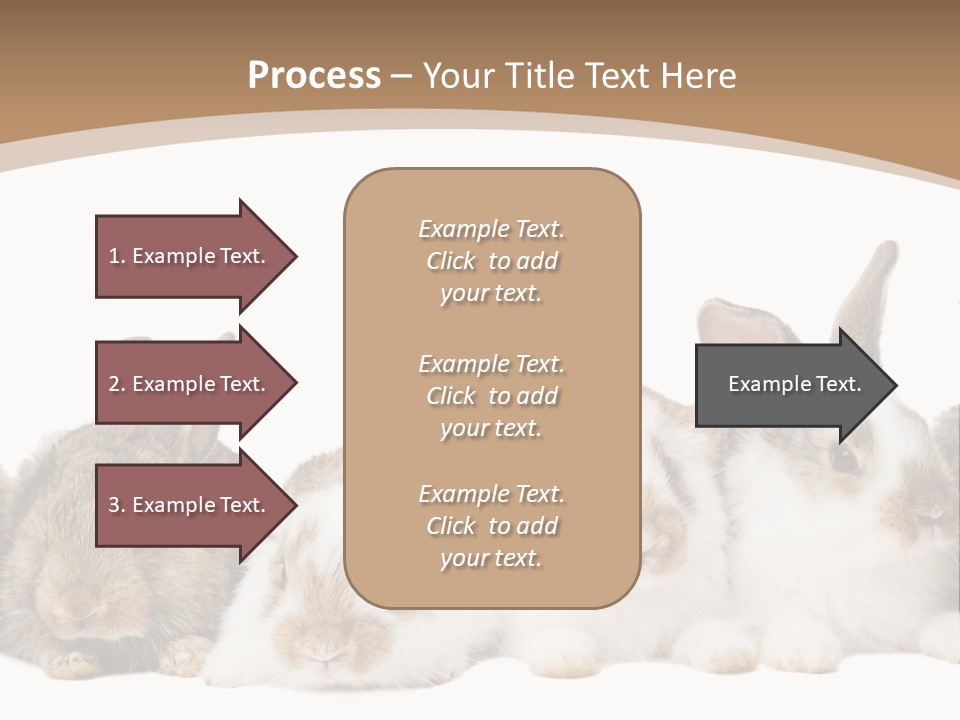 Hare Little Mammal PowerPoint Template