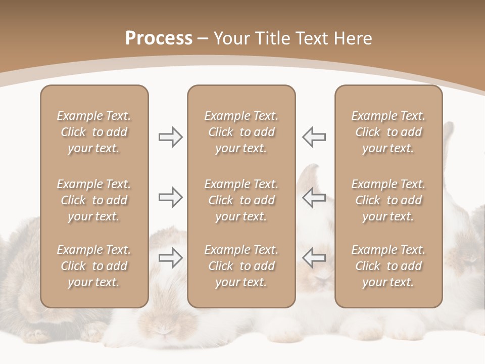 Hare Little Mammal PowerPoint Template